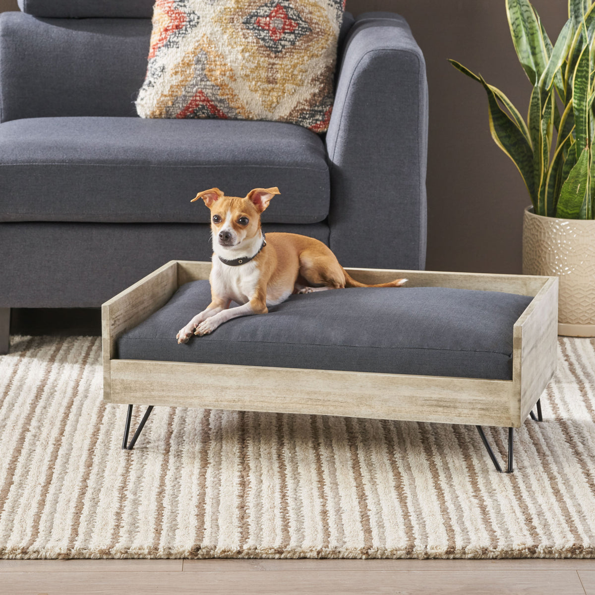 Mid-Century Modern Acacia Wood Dog Bed With Cushion