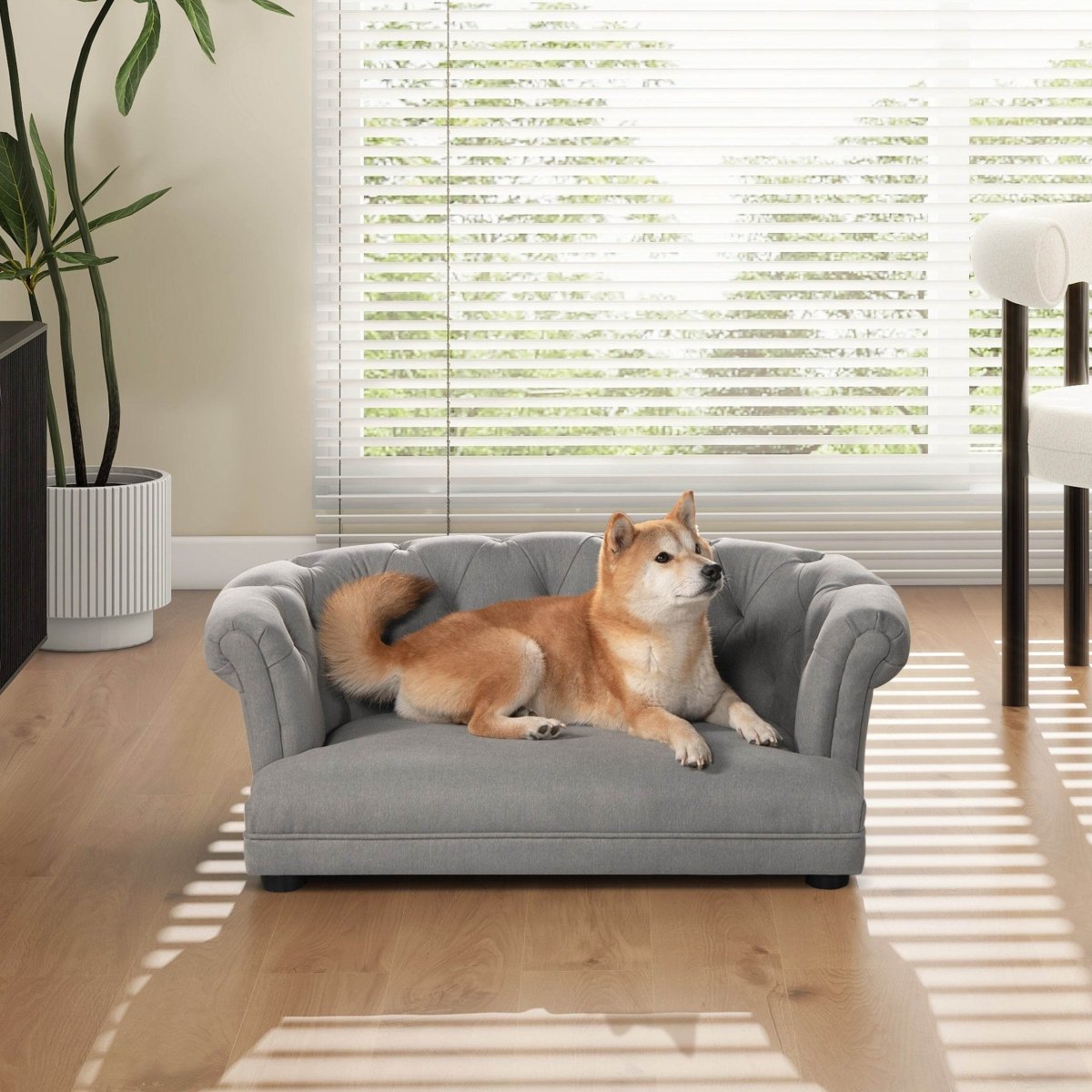 Chesterfield Plush Foam Upholstered Dog Sofa Bed - Sleep Galleria