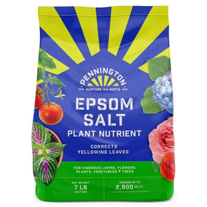 Epsom Salts