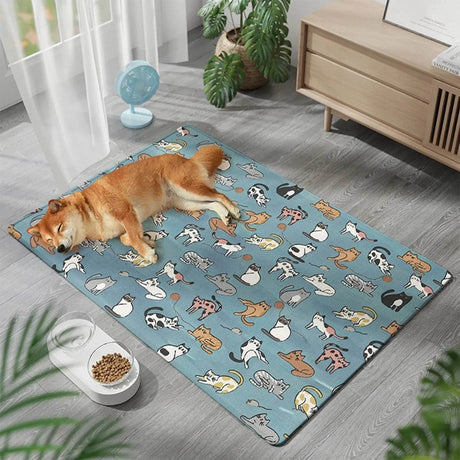 Pet Blankets - Sleep Galleria