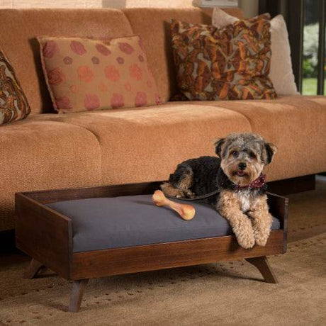 Pets’ Comfort - Sleep Galleria