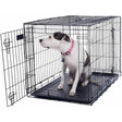 36-Inch Dog Crate - Double Door Pet Kennel with Divider Panel - Foldable Dog Cage with Carry Handle for Portability and Storage by  (Black)