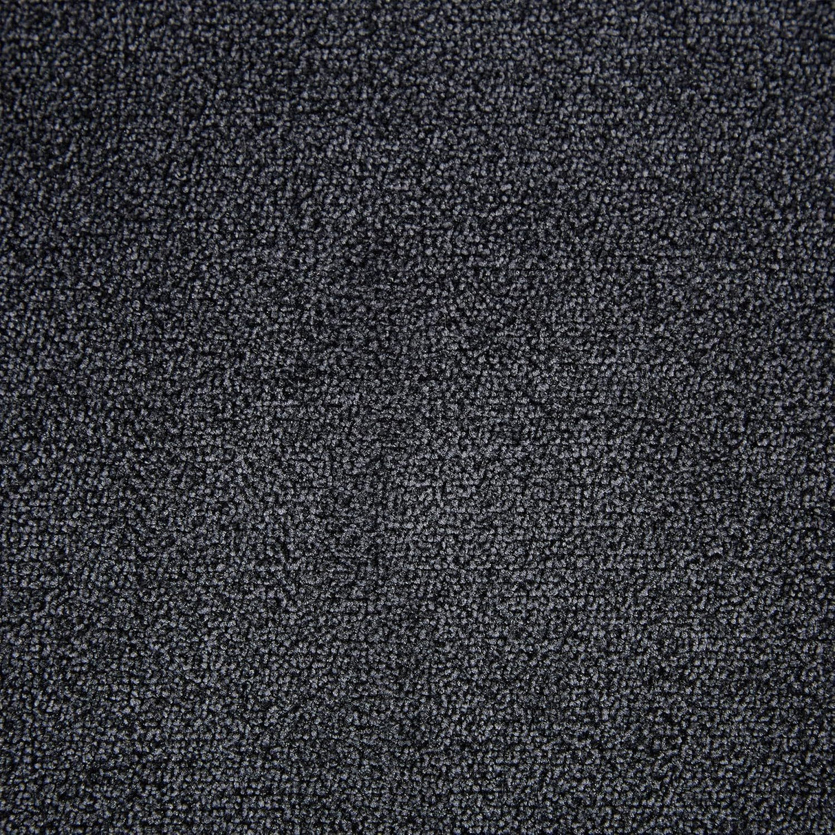 20557184