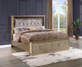 Medusa Contemporary Gold Wood Tufted Queen Bed