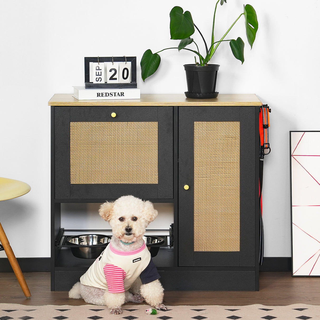 Pet Feeding Station With 2 Elevated Bowls And Storage
