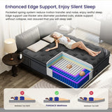 【Live Exclusive】Fansace 10/12/14/16 Inch Deluxe Hybrid Mattress，Spring Mattress in a Box, Medium Firm Mattresses with Gel Memory Foam & Pocket Springs, Extra Edge Support Mattress Latex Mattress Gel Memory Foam Queenking Mattress