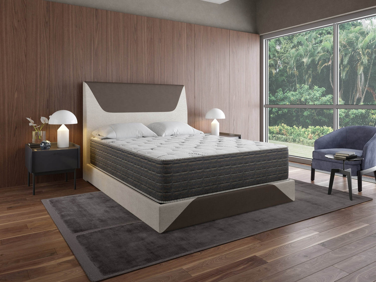 Soft 13.5-Inch DreamFlex Plush Twin Mattress