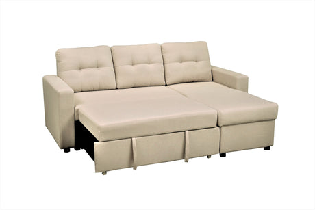 20555044