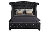 Sophia Upholstered Queen Size Acacia Wood Bed Frame