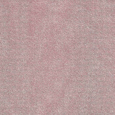 20610862