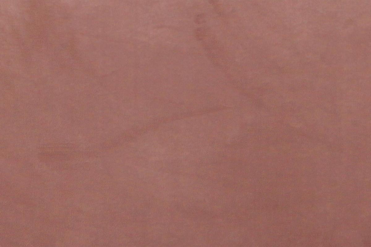 20557148