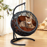Indoor Hanging Cat Hammock Bed With Stand And Cushion