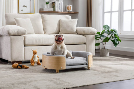 Scandinavian Elevated Large Dog Bed With Velvet Cushion - Sleep Galleria