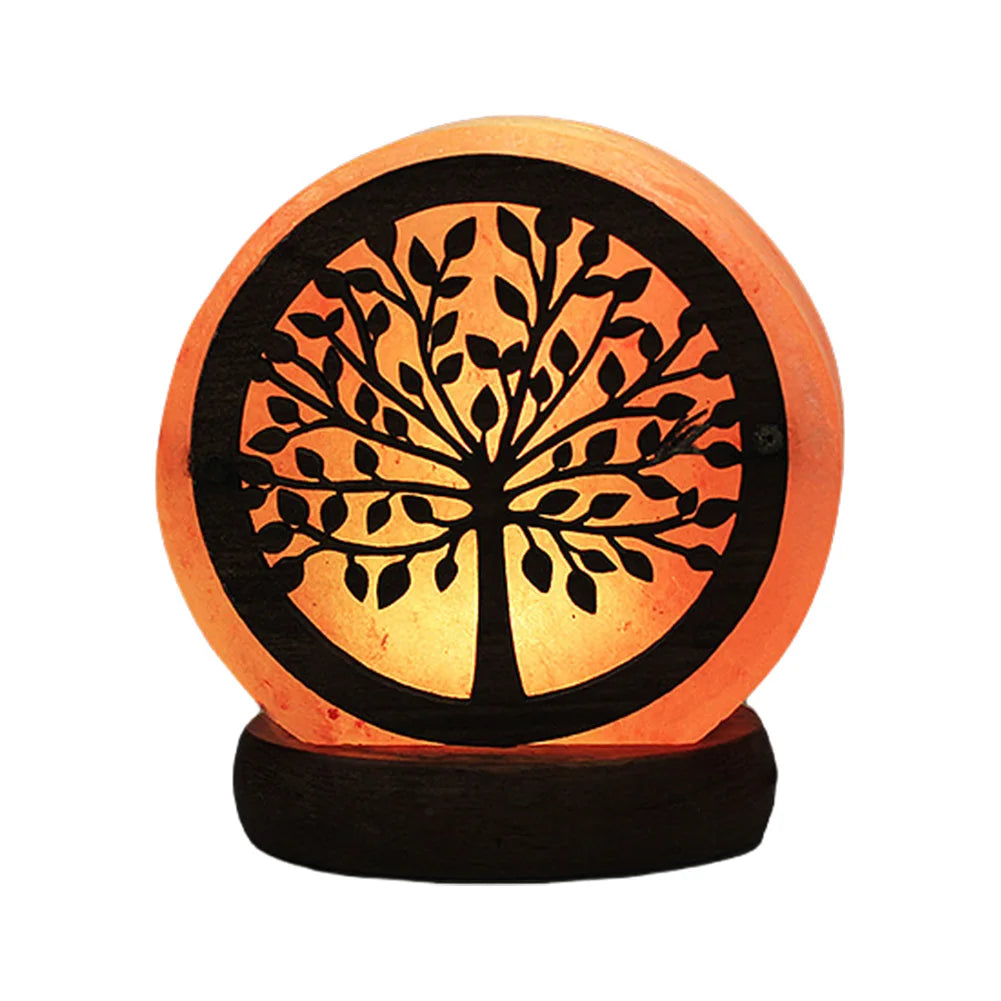 Himalayan Salt Lamp LED Bedside Night Light