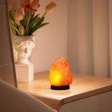 Himalayan Salt Lamp LED Bedside Night Light