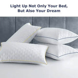 Set of 2 Soft Hypoallergenic Neck Pillows - Sleep Galleria