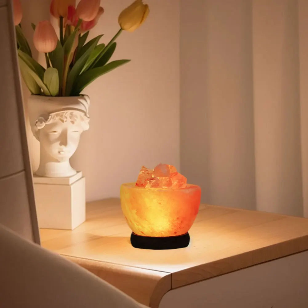 Himalayan Salt Lamp LED Bedside Night Light
