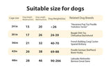 42-Inch Folding Heavy Duty Metal Wire Dog Crate - Sleep Galleria