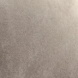 20557585