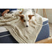 American Bedding Mattresses AMERICAN BEDDING 10-inch Plush Pillow Top Hybrid Bed in Box ON SALE