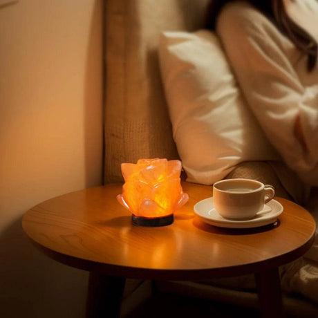 Himalayan Salt LED Night Light with Base - Apwikoger - Sleep Galleria