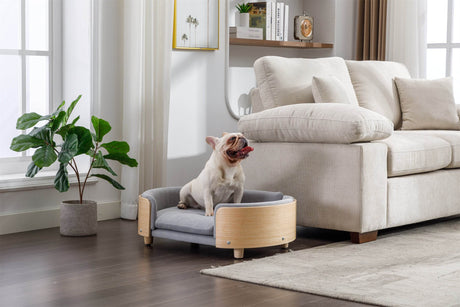 Scandinavian Elevated Large Dog Bed With Velvet Cushion - Sleep Galleria