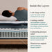 Beautyrest Mattresses Beautyrest® Harmony Cypress Bay 14.75 Inch Plush Pillowtop Mattress