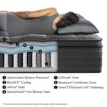 Beautyrest Mattresses Simmons Beautyrest Black® L-Class 14.25