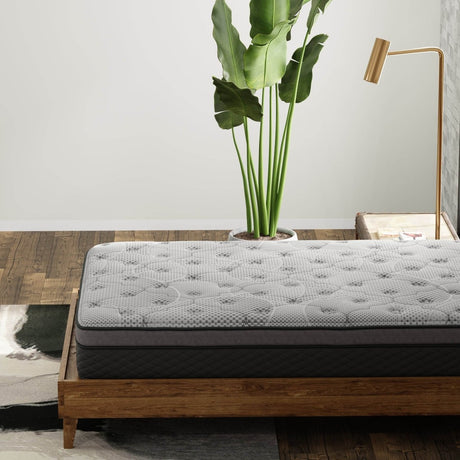 Medium 12-Inch Hybrid Pocket Coil Mattress - Sleep Galleria