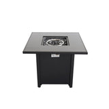 Steel Modern Outdoor Propane Fire Pit 30-Inch