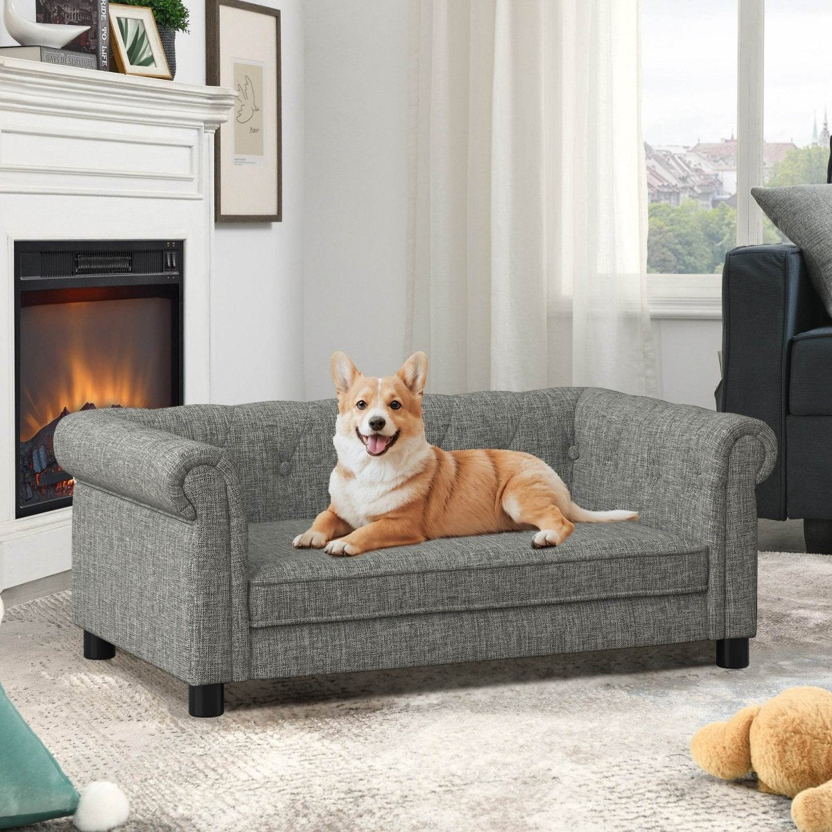 Modern Elevated Foam Pet Bed For Small Medium Dogs - Sleep Galleria