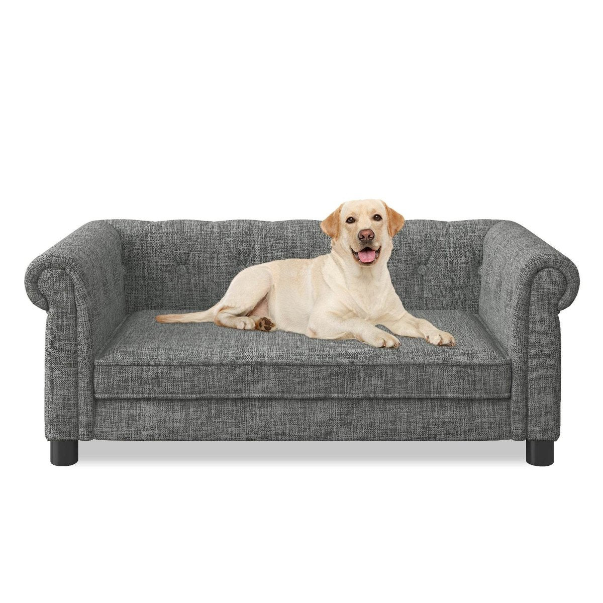 Modern Elevated Foam Pet Bed For Small Medium Dogs - Sleep Galleria