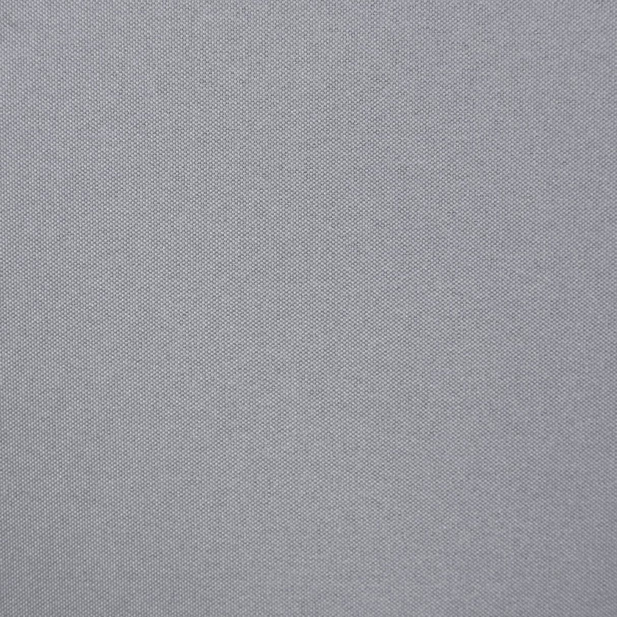 20619138