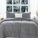 Reversible Ultra-Soft Warm Polyester Comforter Set - Sleep Galleria