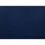 20610568