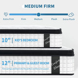 Medium 12-Inch Hybrid Pocket Spring Memory Foam Mattress - Sleep Galleria
