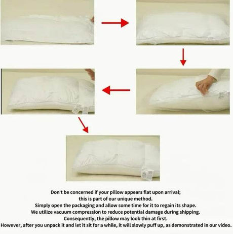Set of 2 Deep Sleep Neck Support Plaid Pillows - Dreamtide - Sleep Galleria