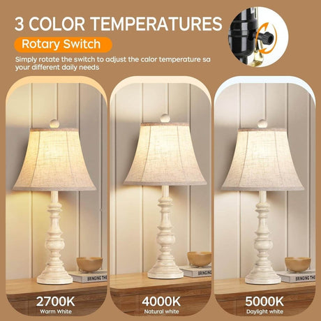Set Of 2 Rustic Farmhouse Resin Table Lamps - Dreamtide - Sleep Galleria