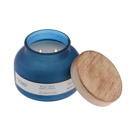 Blue Fern Citrus Scented 2 - Wick 18oz Jar Candle - Driftwood - Sleep Galleria