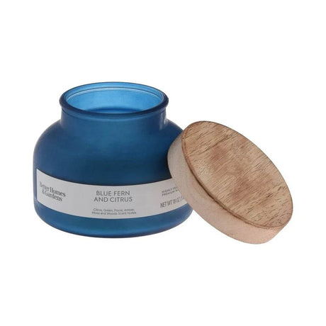 Blue Fern Citrus Scented 2 - Wick 18oz Jar Candle - Driftwood - Sleep Galleria