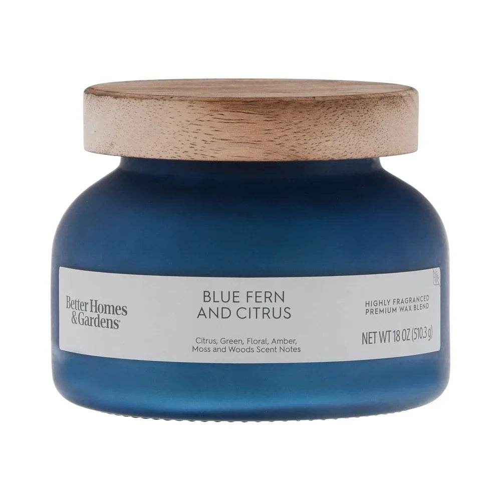 Blue Fern Citrus Scented 2 - Wick 18oz Jar Candle - Driftwood - Sleep Galleria