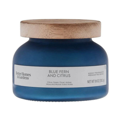 Blue Fern Citrus Scented 2 - Wick 18oz Jar Candle - Driftwood - Sleep Galleria