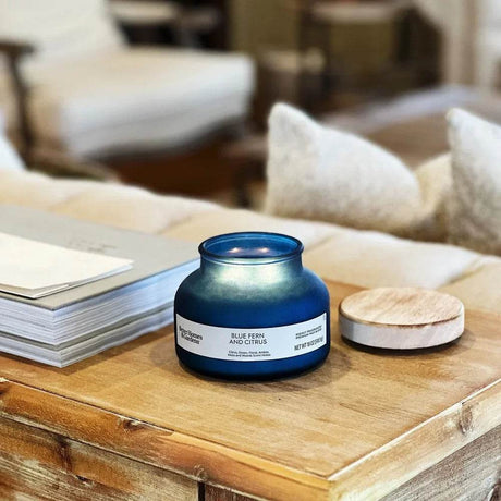 Blue Fern Citrus Scented 2 - Wick 18oz Jar Candle - Driftwood - Sleep Galleria