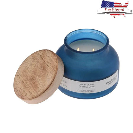 Blue Fern Citrus Scented 2 - Wick 18oz Jar Candle - Driftwood - Sleep Galleria