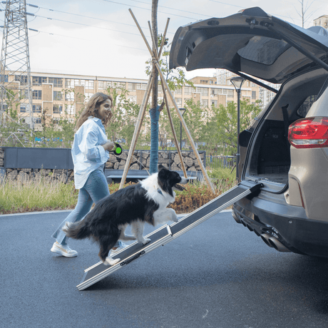 Foldable Aluminum Dog Ramp With Non - Slip Mat - Driftwood - Sleep Galleria