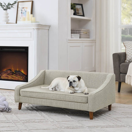 Modern Durable Elevated Foam Dog Sofa Bed - Sleep Galleria