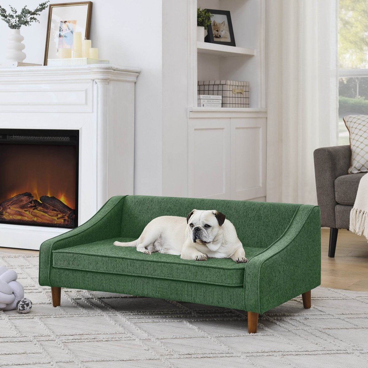 Modern Durable Elevated Foam Dog Sofa Bed - Sleep Galleria