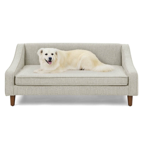 Modern Durable Elevated Foam Dog Sofa Bed - Sleep Galleria