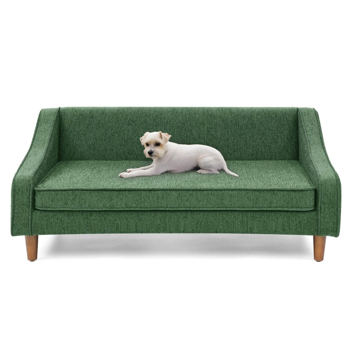 Modern Durable Elevated Foam Dog Sofa Bed - Sleep Galleria