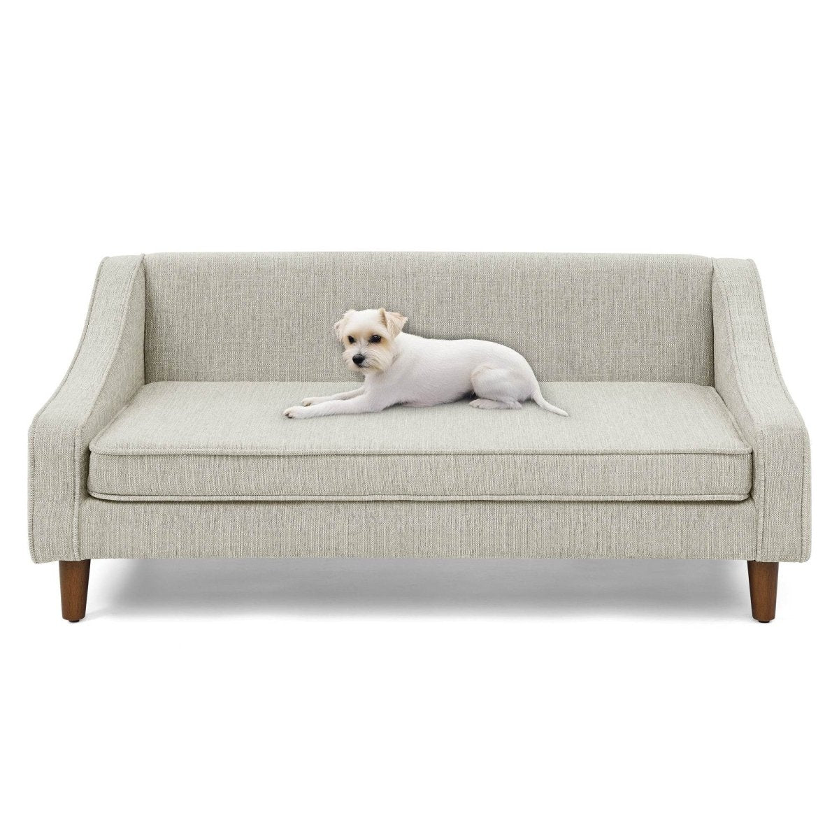 Modern Durable Elevated Foam Dog Sofa Bed - Sleep Galleria